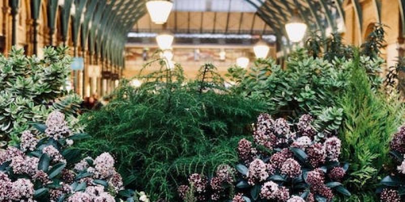 Covent Garden